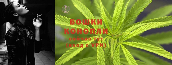 PSILOCYBIN Абаза