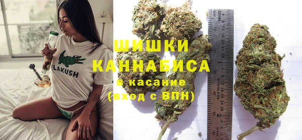 PSILOCYBIN Абаза