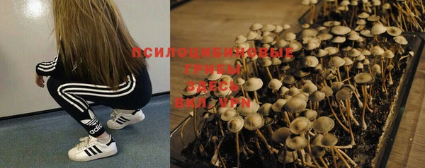 хмурый Абдулино