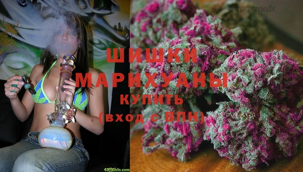 PSILOCYBIN Абаза