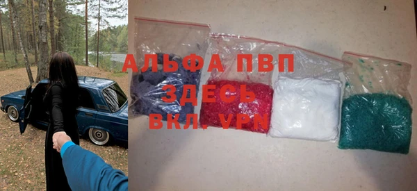 PSILOCYBIN Абаза