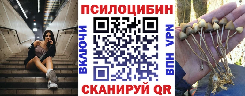 Псилоцибиновые грибы Psilocybine cubensis  Фёдоровский 
